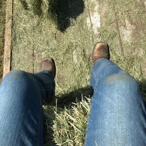 Meet your Posher, Isabella